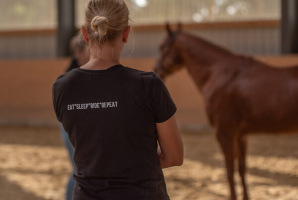 Ich gebe kurse im Bereich Horse Tensegrity Training und die Zusammenhänge aus Training und Therapie beim Pferd.