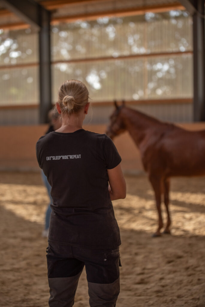 Ich gebe kurse im Bereich Horse Tensegrity Training und die Zusammenhänge aus Training und Therapie beim Pferd.