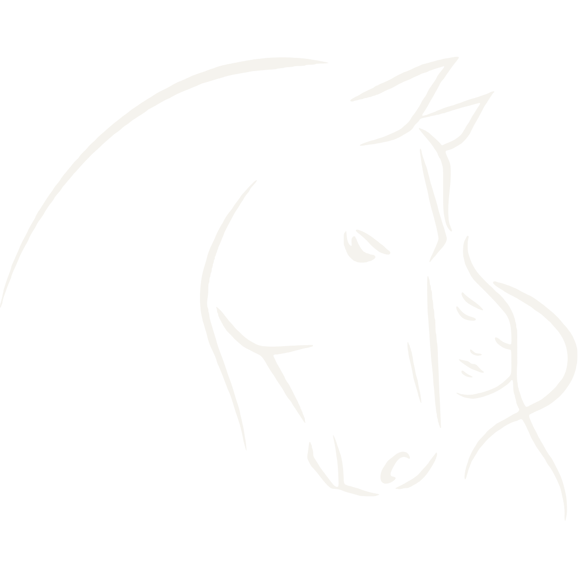 Logo Pferde- und Frauenkopf