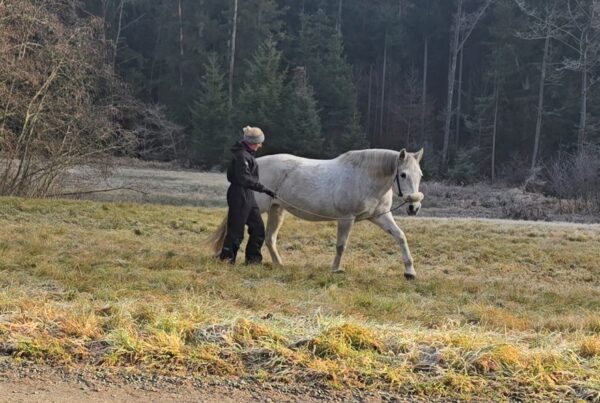 Daniela trainiert mit ihrer Stute im Gelände.