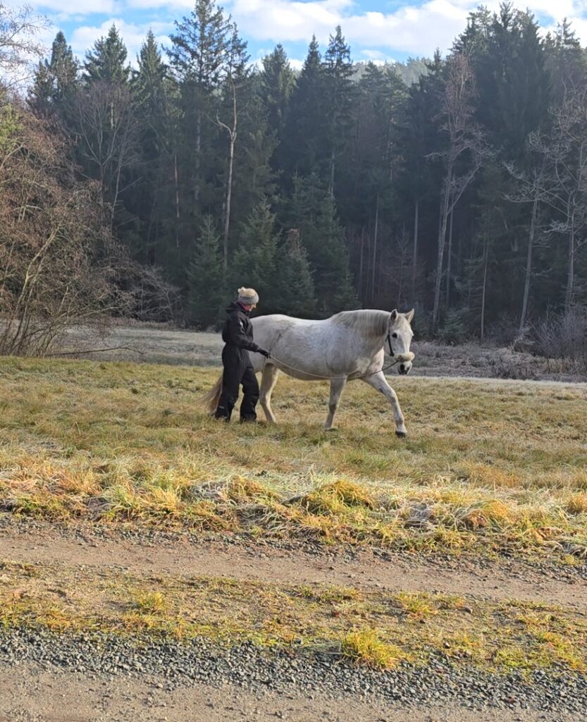Daniela trainiert mit ihrer Stute im Gelände.
