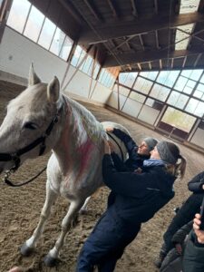 Daniela erklärt auf einem Kurs die anatomischen Zusammenhänge im Pferdekörper, in dem sie die myofaszialen Linien am Pferd aufzeichnet.